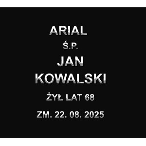 Czcionka ARIAL dostępna w...